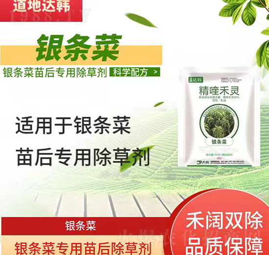 �y�l�˳��݄�-�y�l�����-�y�l�ˌ���-���n