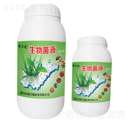 �����Һƿ�b-����ʩ