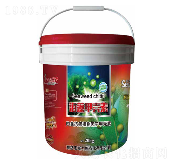 ����ך���-����ʩ