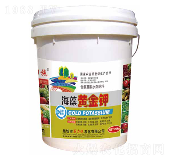 �����S���-����ʩ