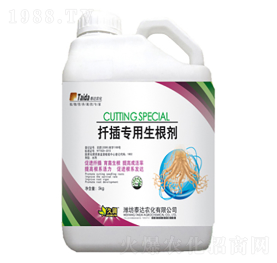 5kgǤ�匣��������-̩�_(d��)�r(n��ng)��