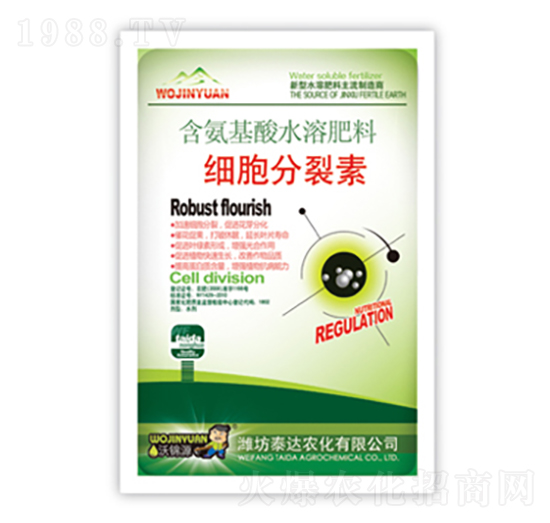 ����������-̩�_�r(n��ng)��