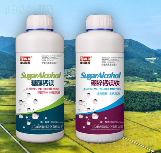 �Ǵ��}�V-�A�Z(li��n)��