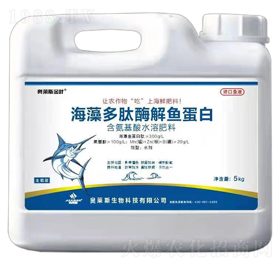 �������ø���~����-�W�R˹���~-�W�R˹