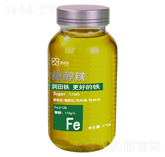 �Ǵ��F ������