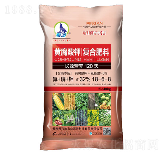 �S����⛏�(f��)�Ϸ���18-6-8-���o(h��)��-����