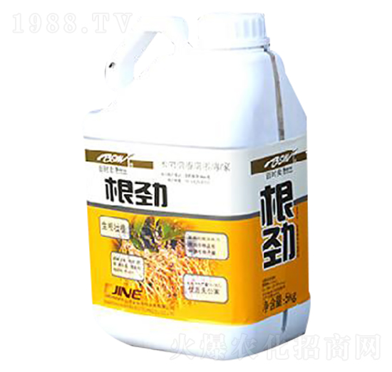 ����-��I(y��)����