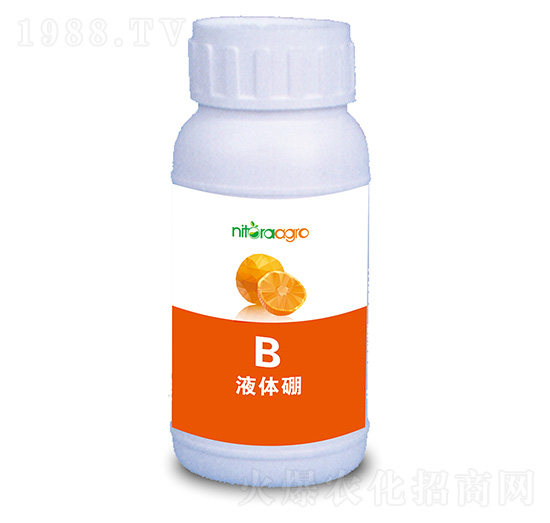 Һ�w��-���_�_