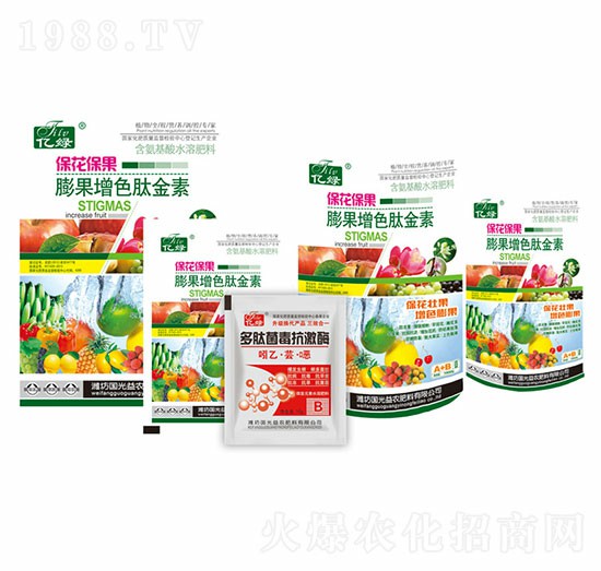 ����������L��ɫ��-�������r(n��ng)