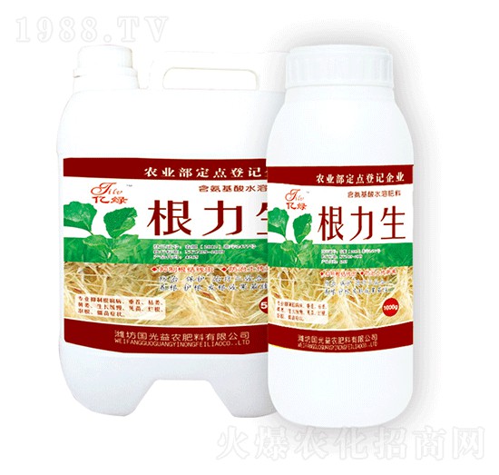 ������-�������r(n��ng)