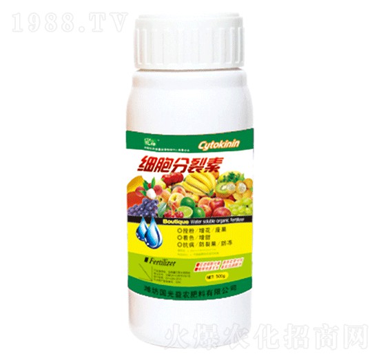 ��(x��)��������-�������r(n��ng)