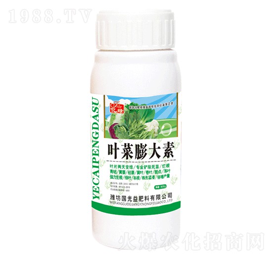 �~�������-��(gu��)�����r(n��ng)