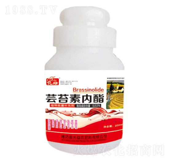 200ml�|̦�؃�(n��i)��-��(gu��)�����r(n��ng)