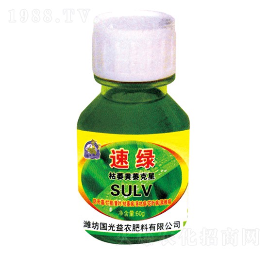 ��ή�Sή����-�پG-�������r(n��ng)