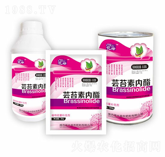 �|̦�؃�(n��i)���M��-��(gu��)�����r(n��ng)