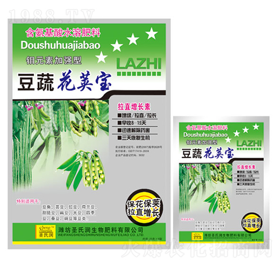 ���߻��v��-ʥ�ϝ�(r��n)