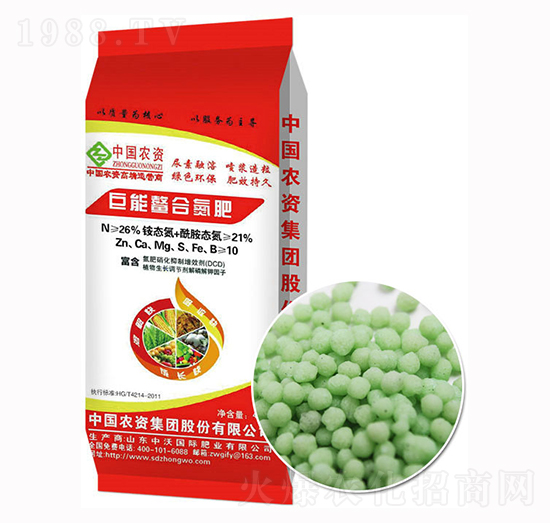 �w���������ϵ���-����