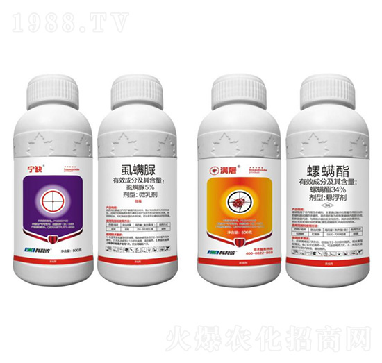 5%ʭ���壨�����ټt֩�댣(zhu��n)��������+34%������-��ȱ+�M(m��n)��-�����r(n��ng)