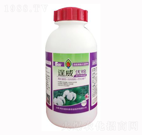 ��������~���-������(y��u)��-��(��i)��̩