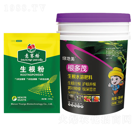 ������+����ï-��ِ��