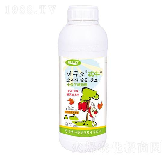 С�����Ǵ���-߯ţ-�A��