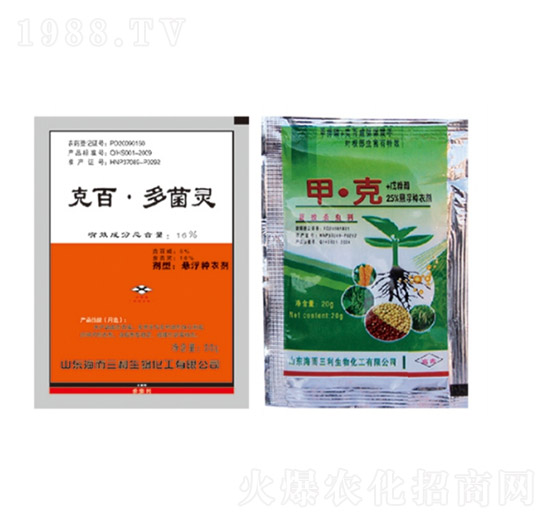 16%�˰١�����`�N���M�����b-��������