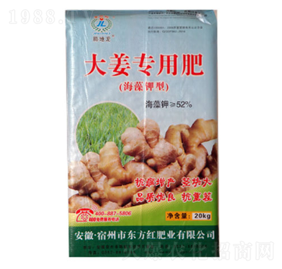 �󽪌��÷�-�|���t