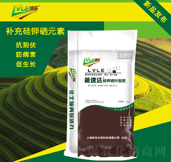 �����_������~��ʣ�����-�G������