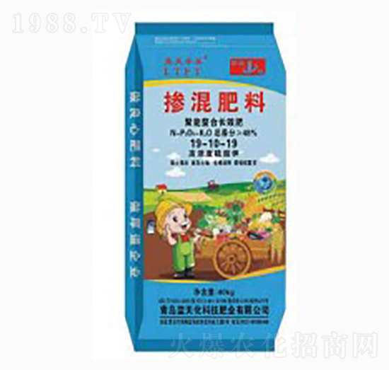 ���������L(zh��ng)Ч��-��(f��)�Ϸ���19-10-19-�{(l��n)���S̩