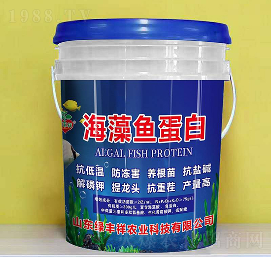 �����~����-�G�S���r�I(y��)