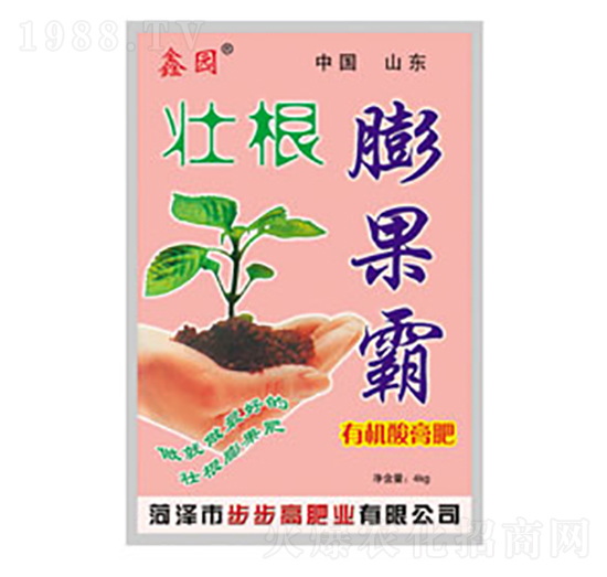 �Ѹ������-�Έ@-�����߷ʘI(y��)