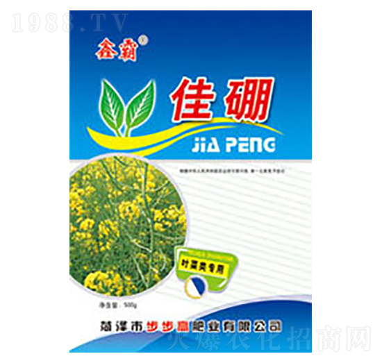 ����-�ΰ�-�����߷ʘI(y��)