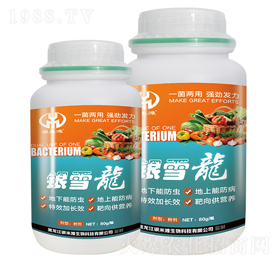 �yѩ��΢�������-�y�מ�����