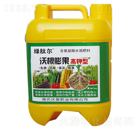 ������ָ����-���ǷʘI(y��)