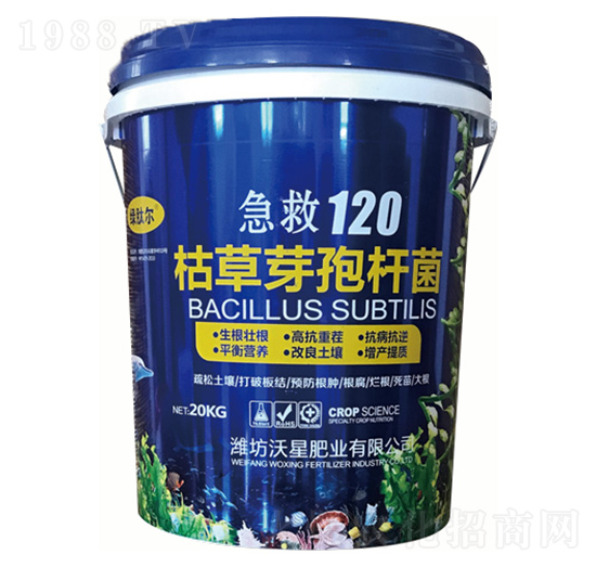 �ݲ�ѿ�ߗU��-���ǷʘI(y��)