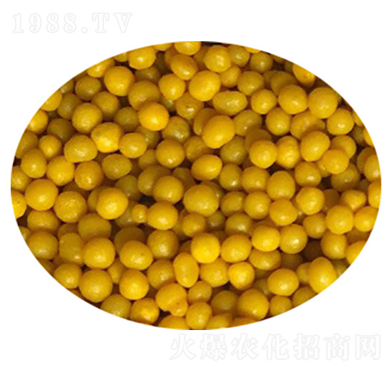 ��Ĥ����⛾�ጷ�-�����Ƽ�