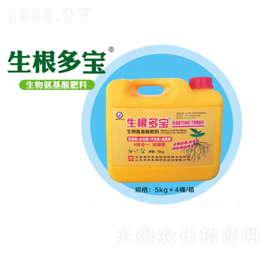 ��������-�S������