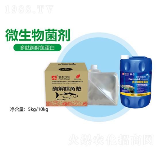 ����ø���~����-�S������