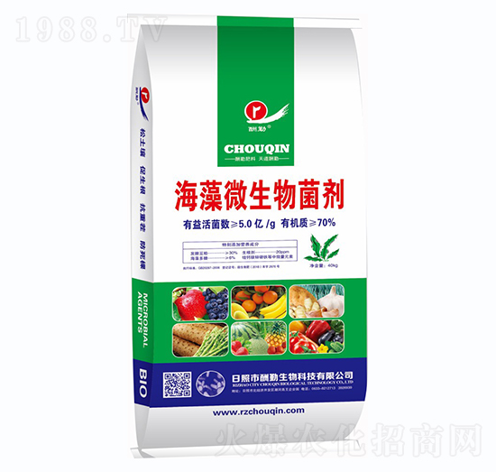 ����΢�������-����