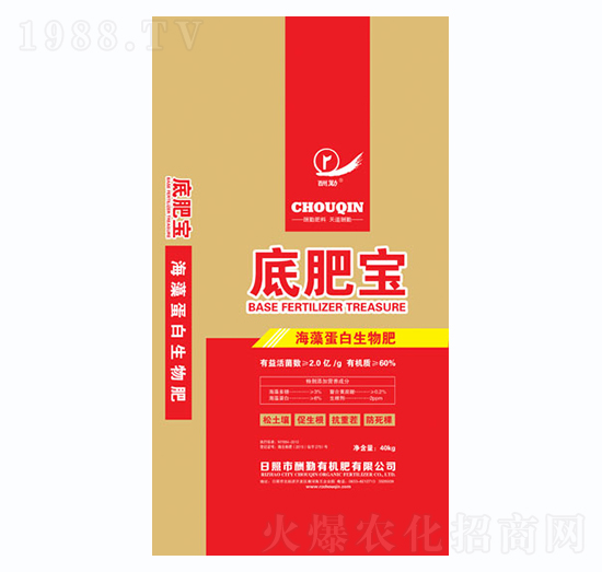 ���嵰�������-�׷ʌ�-����