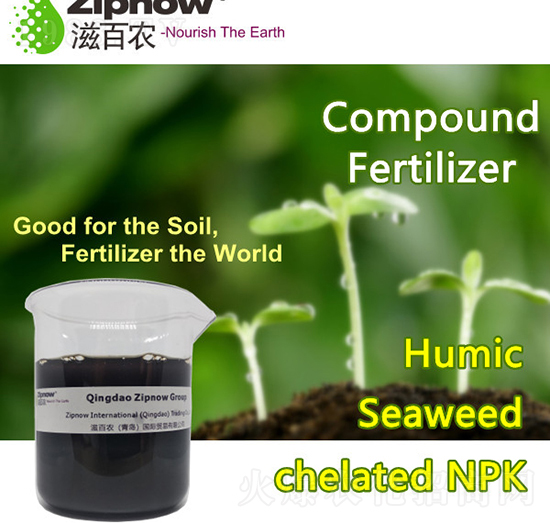 ��ֳ�|��������-�̰��r