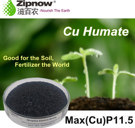 ��ֲ���~-�̰��r(n��ng)