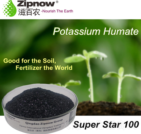 ��ֲ���-SuperStar100-�̰��r