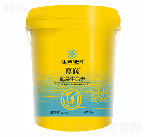 ����(r��n)������������-�Z����