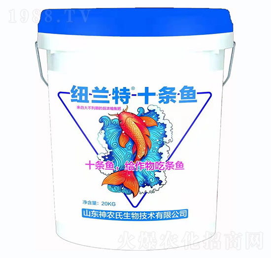 �~�m��+ʮ�l�~(y��)-���r(n��ng)��