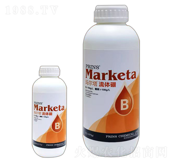 �������w��-Ӣ������˹