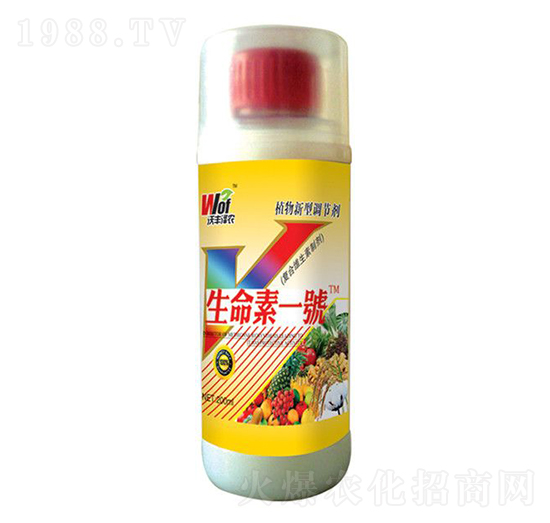 ������һ̖-���S���r-���S����