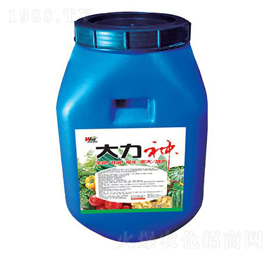 ������-���S���r(n��ng)-���S����