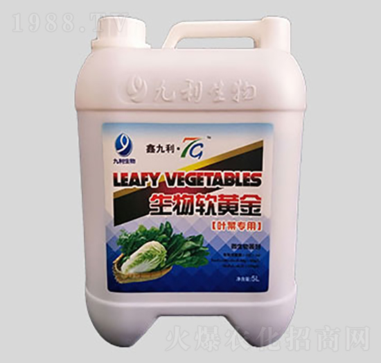 �~�ˌ��Û_ʩ����-����ܛ�S��-�����ʘI(y��)