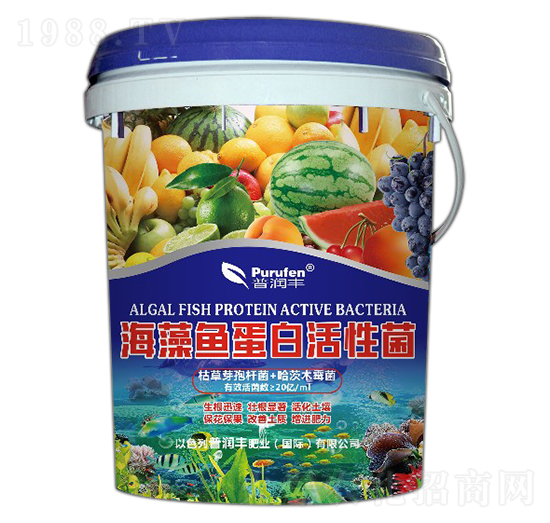 �����~���׻��Ծ�-�՝�(r��n)�S